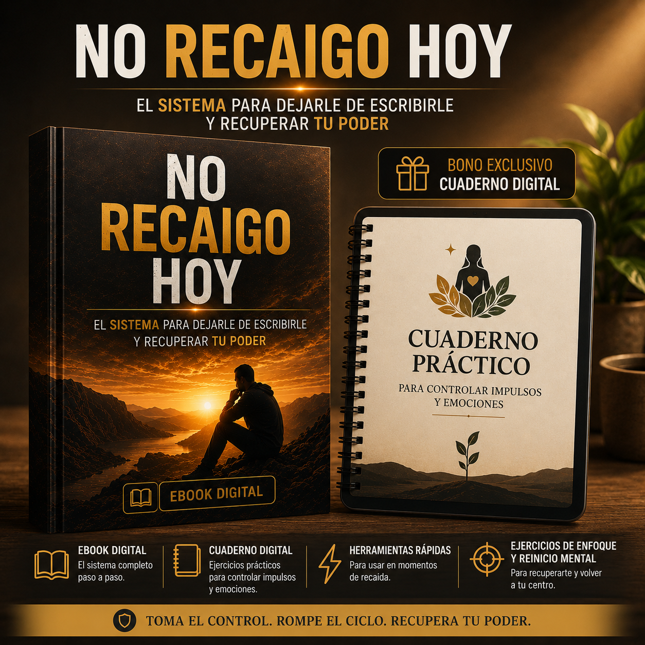 NO RECAIGO HOY